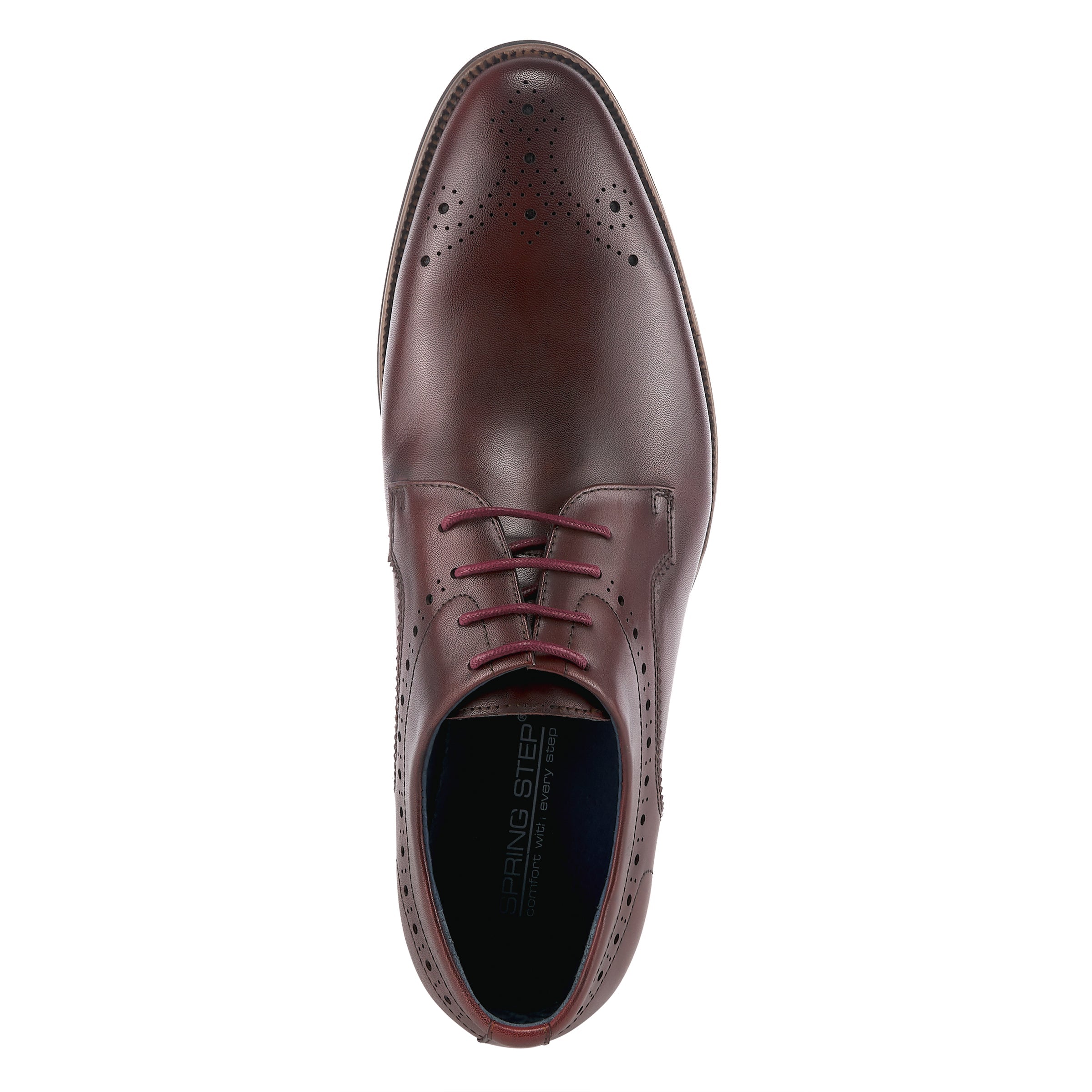 Charlie Cabernet men's lace-up casual sneakers in Default