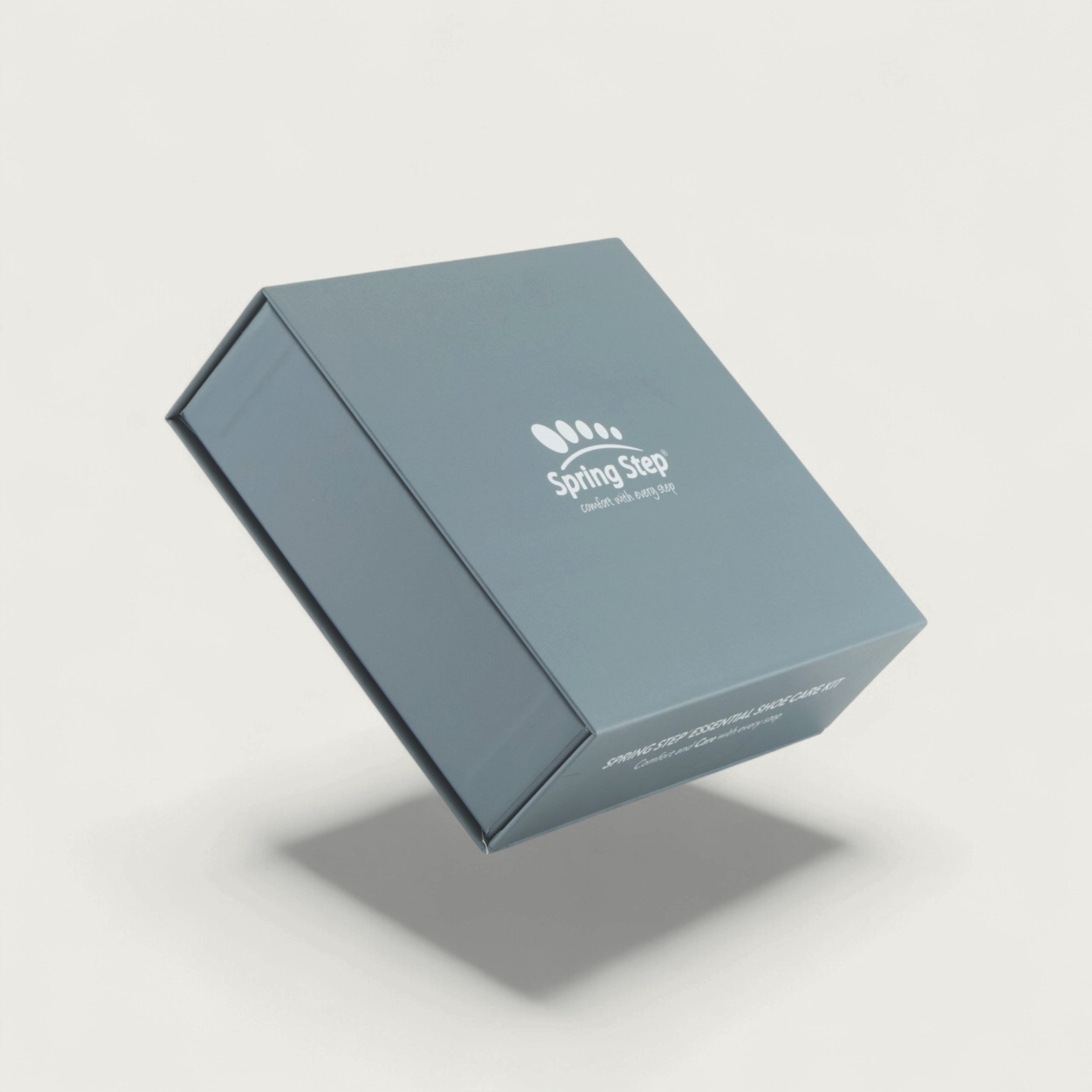 SPRING STEP SHOE CARE KIT