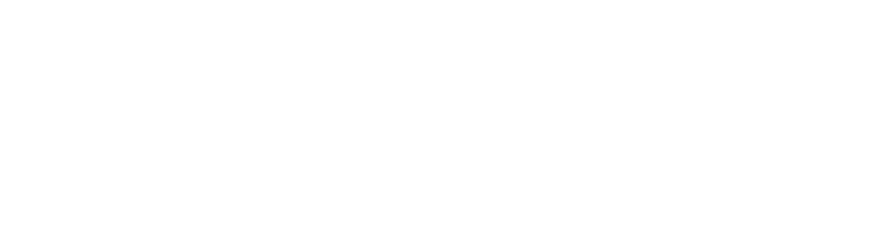 Spring Step Men